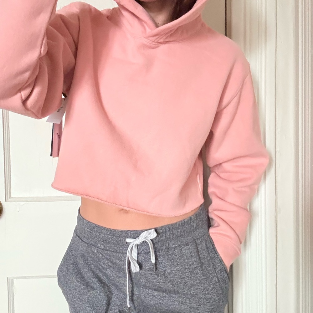 Aritzia TNA Perfect Cropped Hoodie